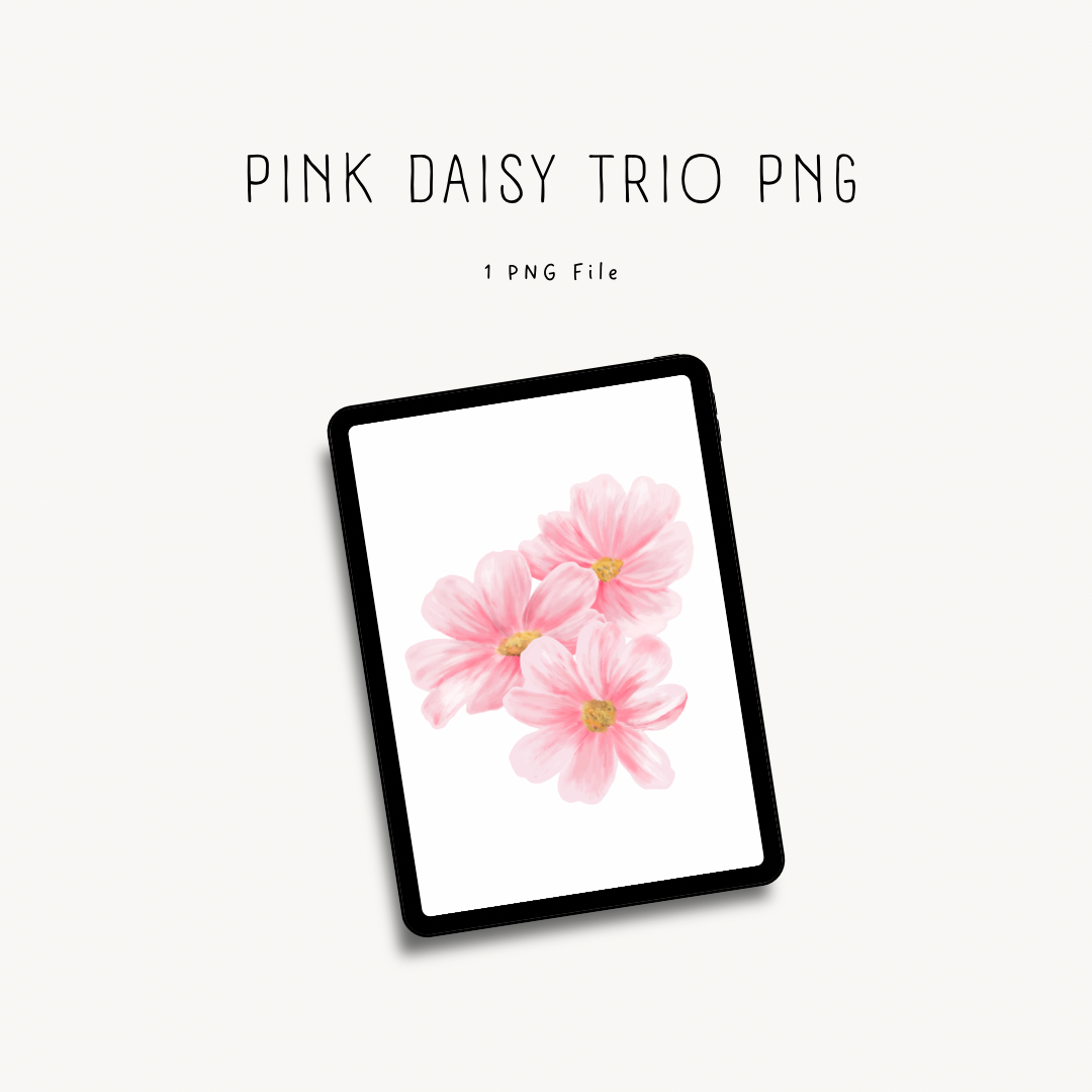 Pink Daisy Trio PNG — high-resolution floral clipart for print-on-demand, stationery, and crafting projects