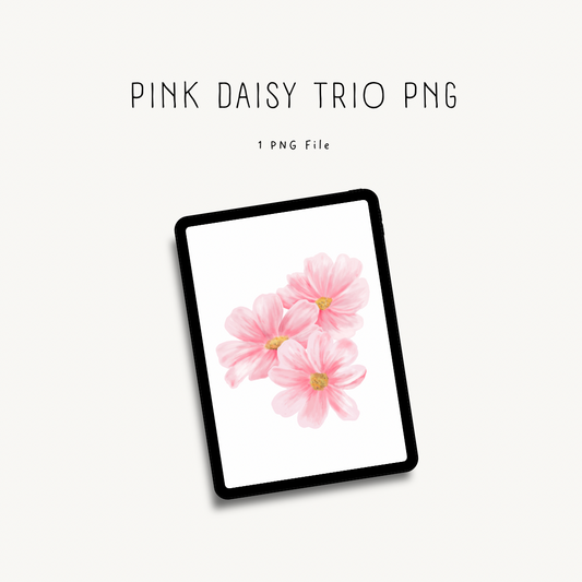 Pink Daisy Trio PNG — high-resolution floral clipart for print-on-demand, stationery, and crafting projects